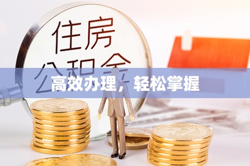 莱州高效办理，轻松掌握