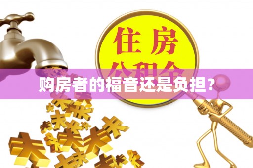 莱州购房者的福音还是负担？