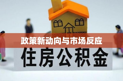 莱州政策新动向与市场反应