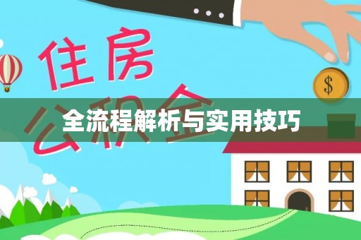 莱州全流程解析与实用技巧