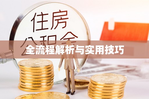 莱州全流程解析与实用技巧