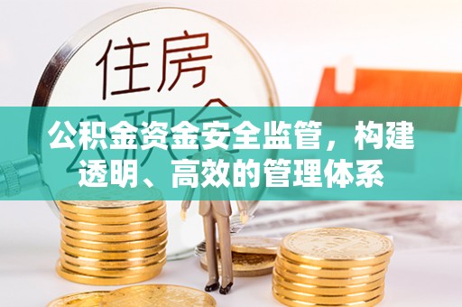 莱州公积金资金安全监管，构建透明、高效的管理体系