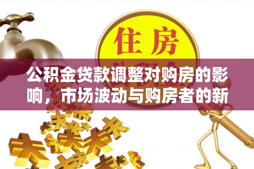莱州公积金贷款调整对购房的影响，市场波动与购房者的新选择