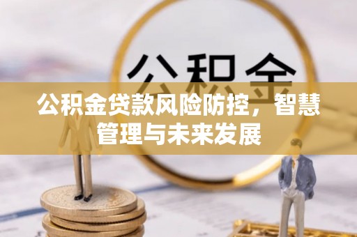 莱州公积金贷款风险防控，智慧管理与未来发展
