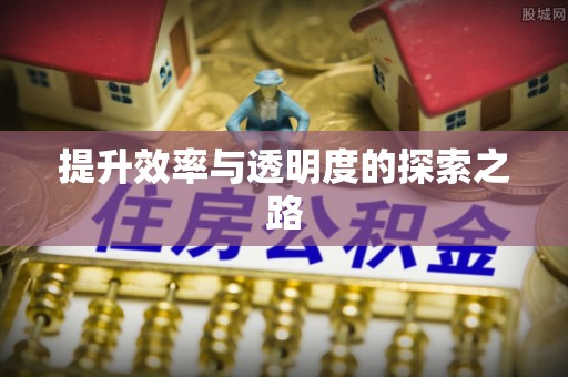 莱州提升效率与透明度的探索之路