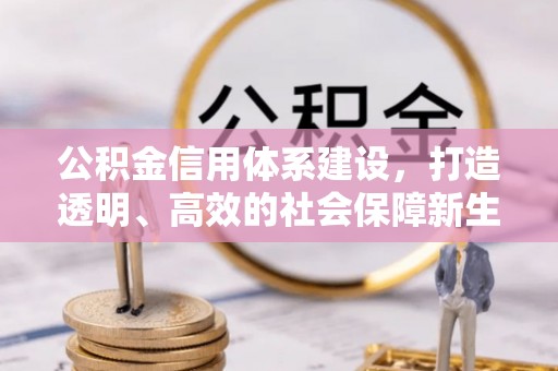 莱州公积金信用体系建设，打造透明、高效的社会保障新生态