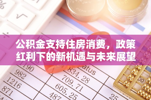 莱州公积金支持住房消费，政策红利下的新机遇与未来展望