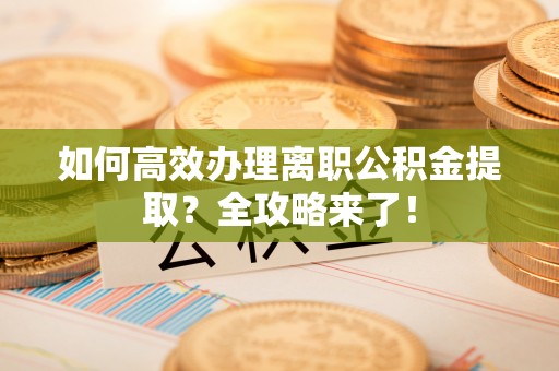 莱州如何高效办理离职公积金提取？全攻略来了！