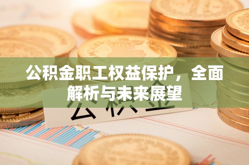 莱州公积金职工权益保护，全面解析与未来展望