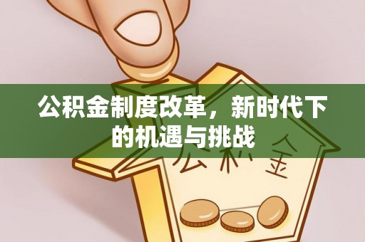 莱州公积金制度改革，新时代下的机遇与挑战