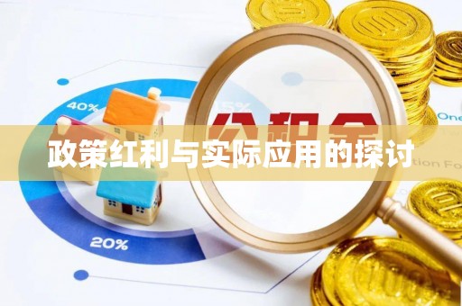 莱州政策红利与实际应用的探讨