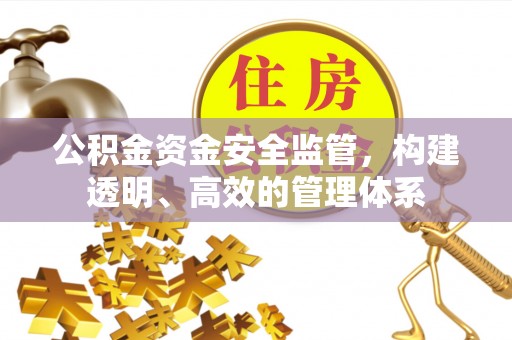 莱州公积金资金安全监管，构建透明、高效的管理体系
