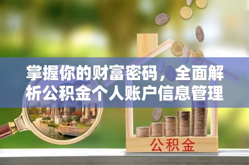 莱州掌握你的财富密码，全面解析公积金个人账户信息管理