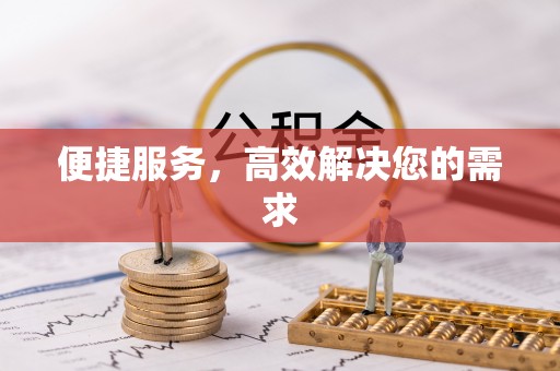 莱州便捷服务，高效解决您的需求