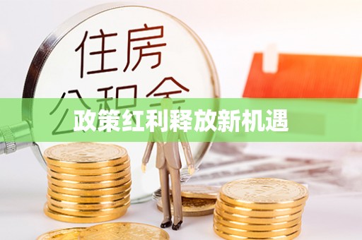 莱州政策红利释放新机遇