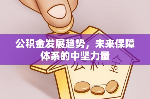 莱州公积金发展趋势，未来保障体系的中坚力量