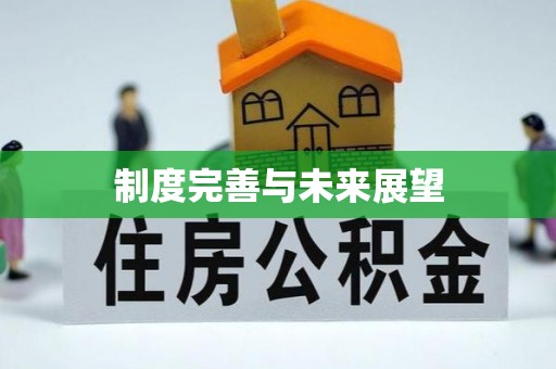 莱州制度完善与未来展望