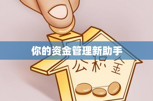 莱州你的资金管理新助手