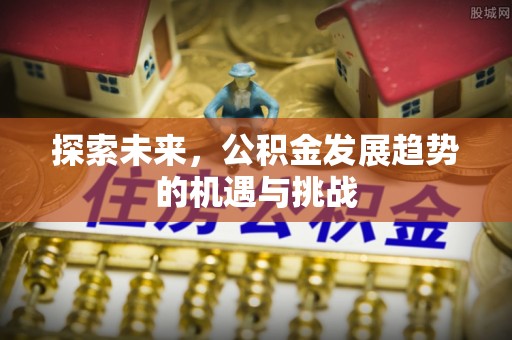 莱州探索未来，公积金发展趋势的机遇与挑战