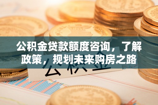 莱州公积金贷款额度咨询，了解政策，规划未来购房之路