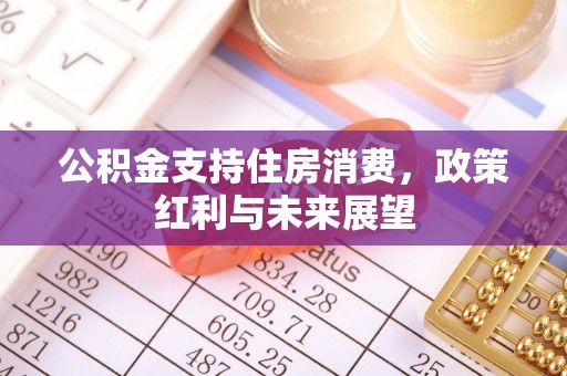 莱州公积金支持住房消费，政策红利与未来展望