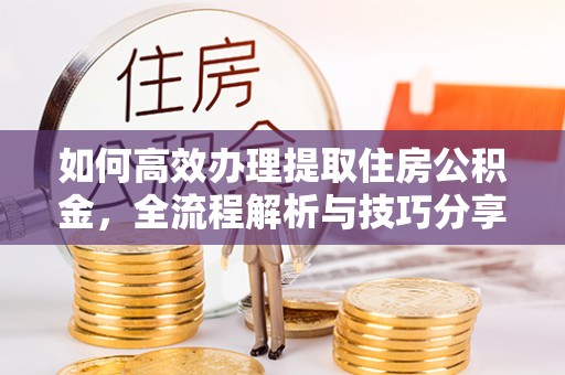 莱州如何高效办理提取住房公积金，全流程解析与技巧分享