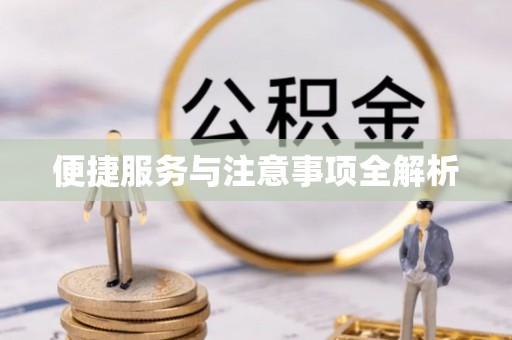 莱州便捷服务与注意事项全解析