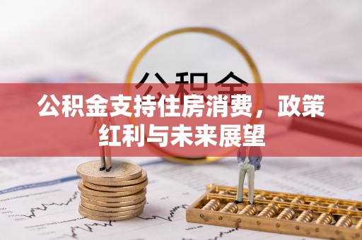 莱州公积金支持住房消费，政策红利与未来展望