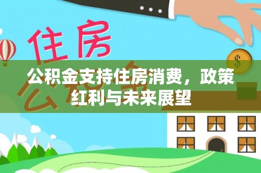 莱州公积金支持住房消费，政策红利与未来展望