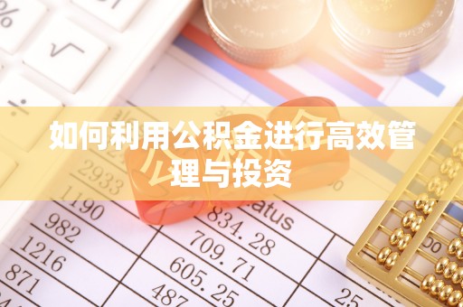 莱州如何利用公积金进行高效管理与投资