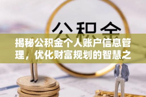 莱州揭秘公积金个人账户信息管理，优化财富规划的智慧之选