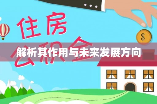 莱州解析其作用与未来发展方向