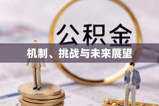 莱州机制、挑战与未来展望