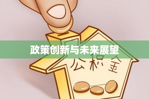 莱州政策创新与未来展望