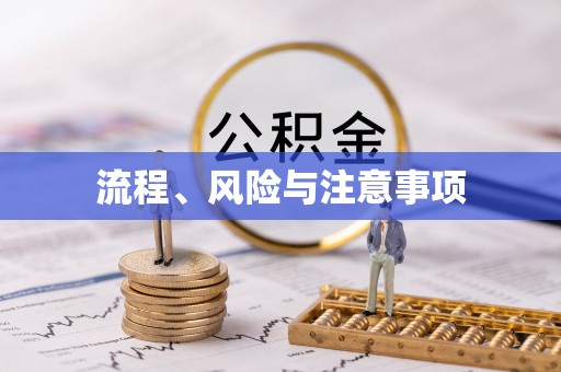 莱州流程、风险与注意事项