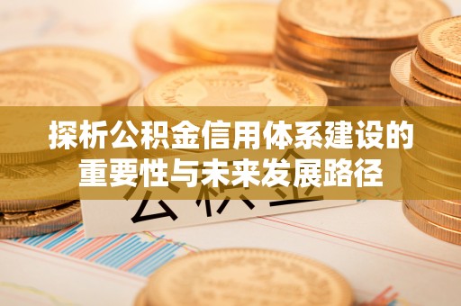 莱州探析公积金信用体系建设的重要性与未来发展路径