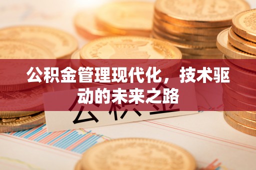莱州公积金管理现代化，技术驱动的未来之路
