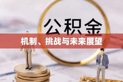 莱州机制、挑战与未来展望
